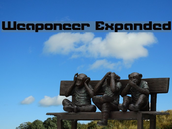 Weaponeer Expanded Font examples