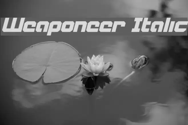 Weaponeer Italic Font examples