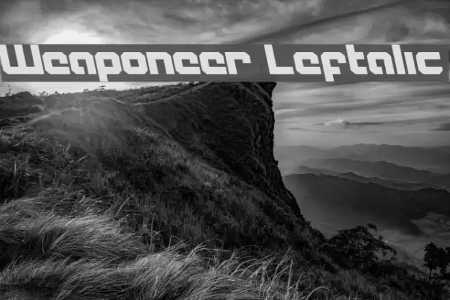 Weaponeer Leftalic フォント examples