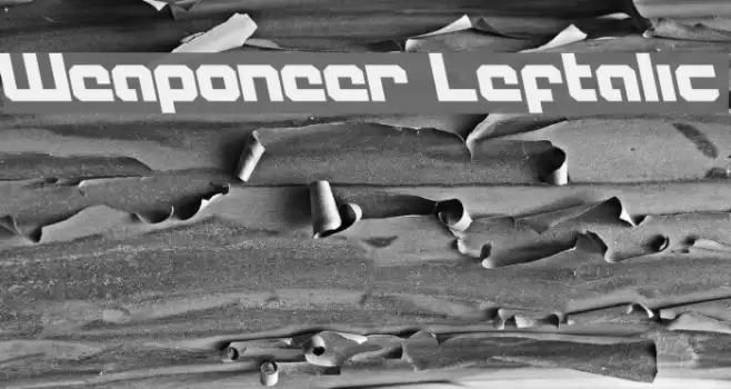 Weaponeer Leftalic フォント examples