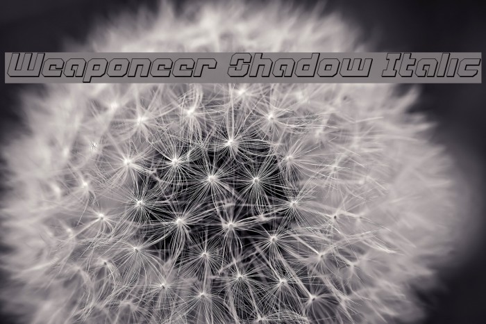 Weaponeer Shadow Italic Font examples