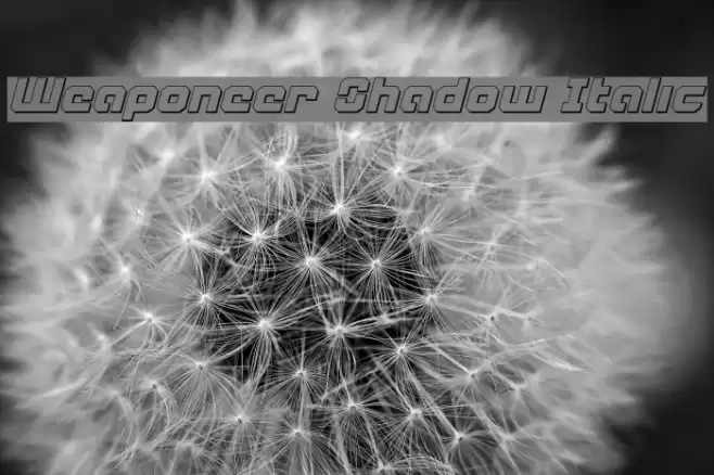 Weaponeer Shadow Italic خط examples