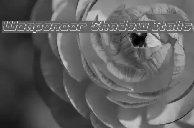 Weaponeer Shadow Italic خط examples