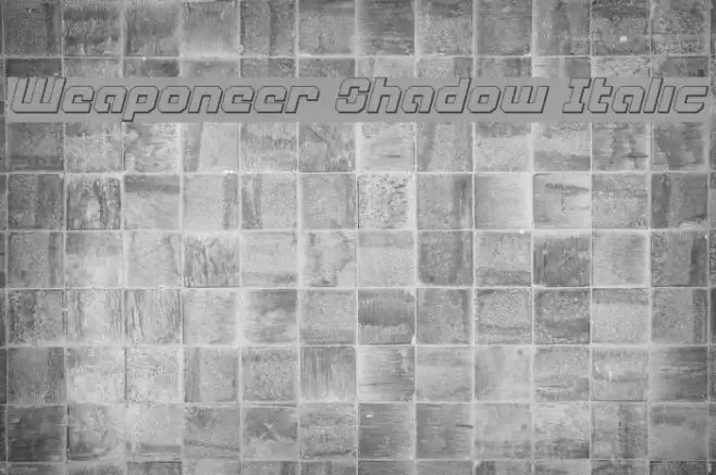 Weaponeer Shadow Italic خط examples