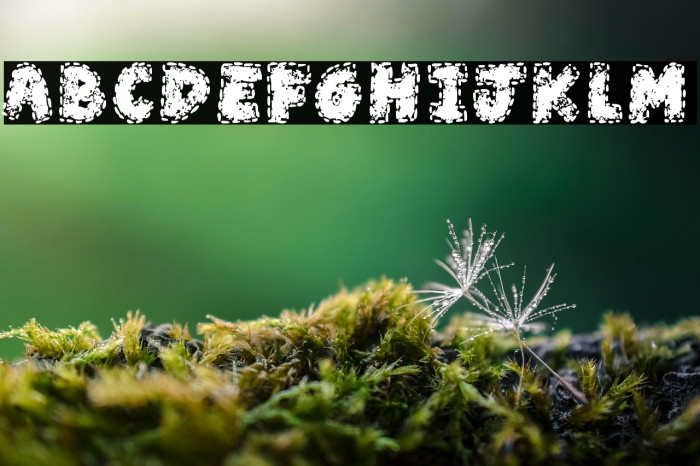 Wear and Tear Example 3