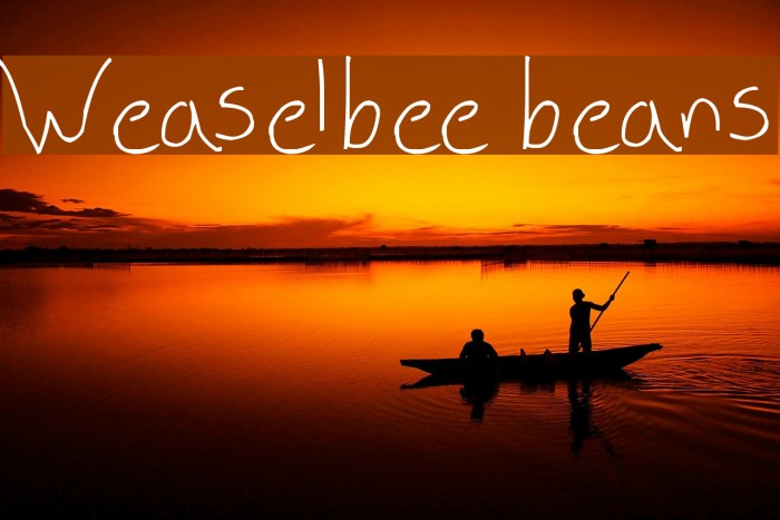 Weaselbee beans फ़ॉन्ट examples