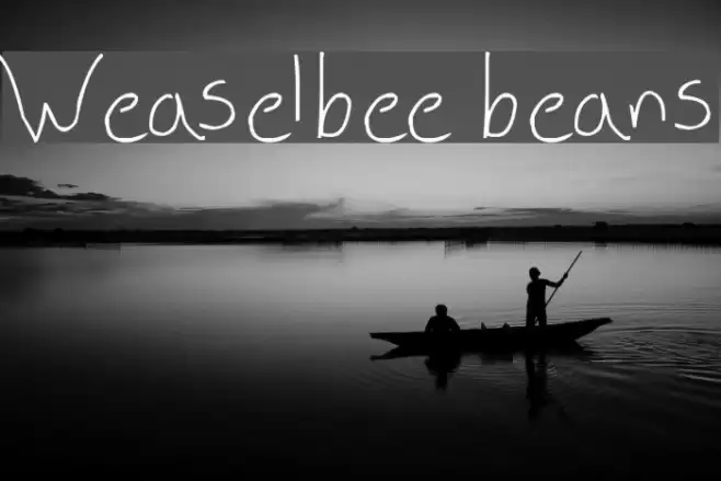 Weaselbee beans Font examples