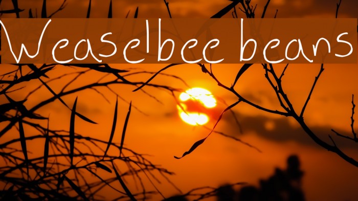 Weaselbee beans फ़ॉन्ट examples