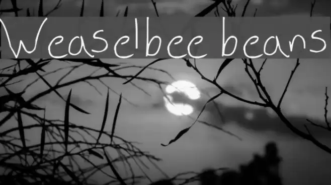 Weaselbee beans Font examples