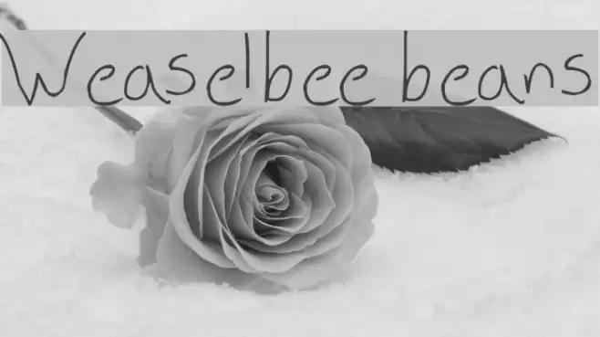 Weaselbee beans Font examples