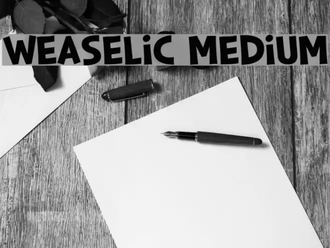 Weaselic Medium Font examples
