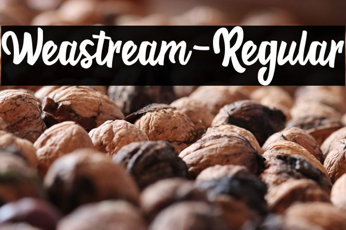 Weastream-Regular Example 2