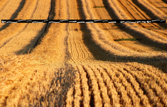 WeastreamSwash-Regular Example 1