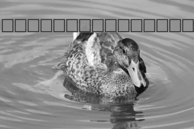 Weather Regular Fonte examples