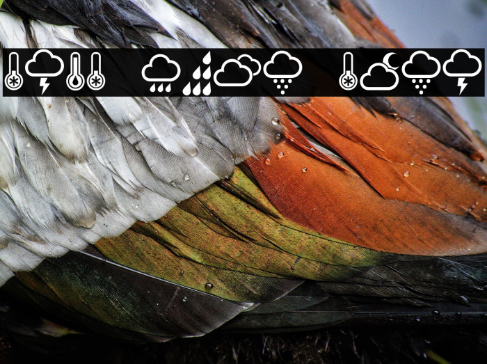 Weather Symbols Regular Example 2