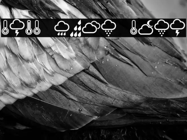 Weather Symbols Regular Font examples