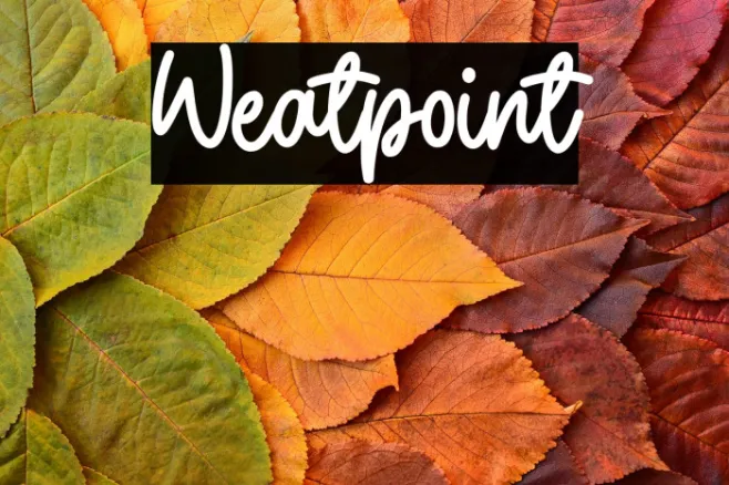 Weatpoint Example 2