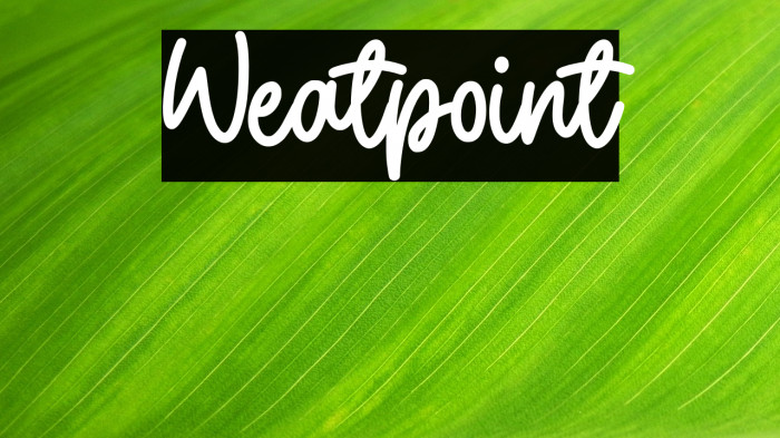 Weatpoint Example 3