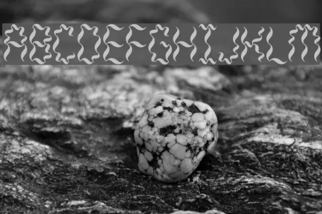 Weaver BRK Font examples