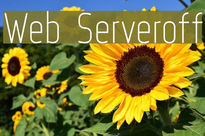 Web Serveroff Font examples