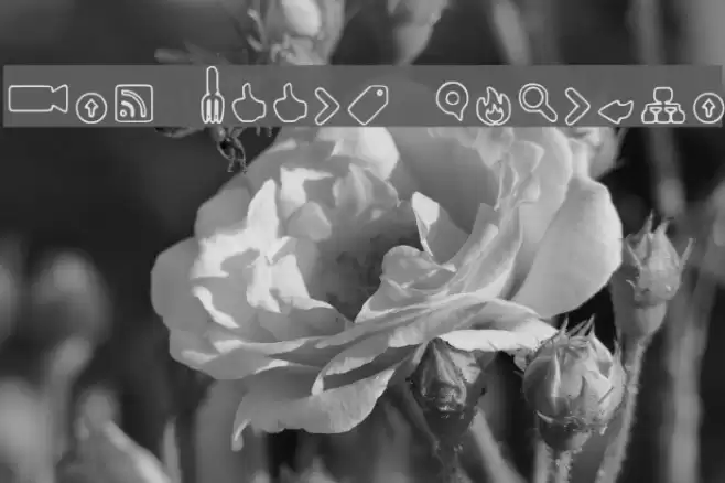 Web Tools Outline Font examples