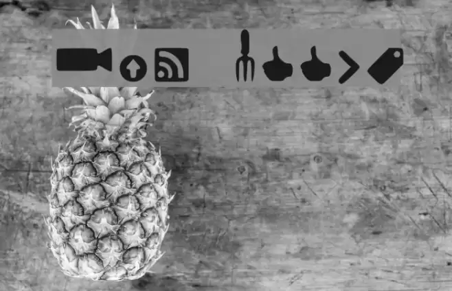 Web Tools Font examples