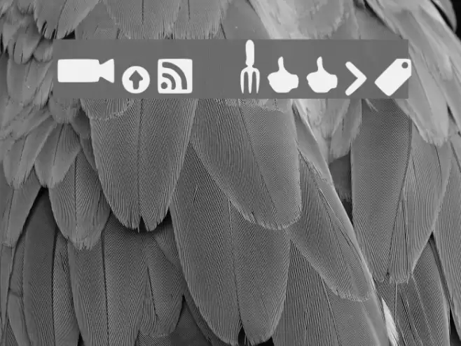 Web Tools Font examples