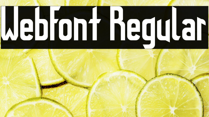 WebFont Regular Example 2