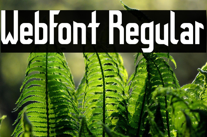 WebFont Regular Example 3