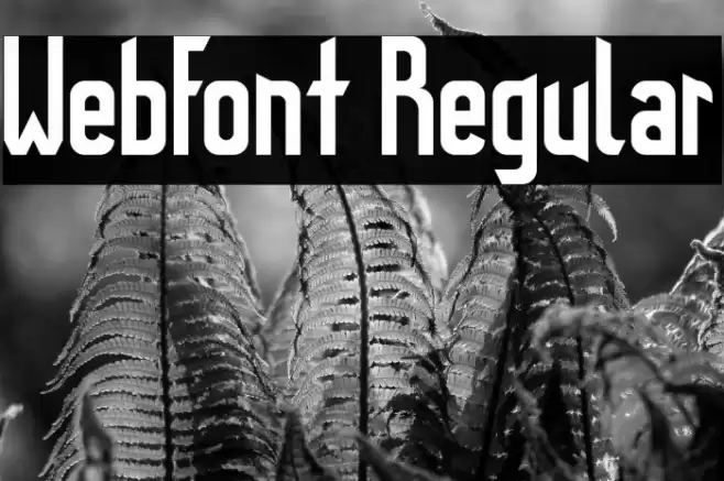 WebFont Regular Font examples