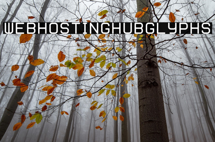 WebHostingHub-Glyphs Example 1