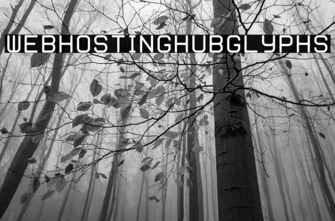 WebHostingHub-Glyphs Font examples