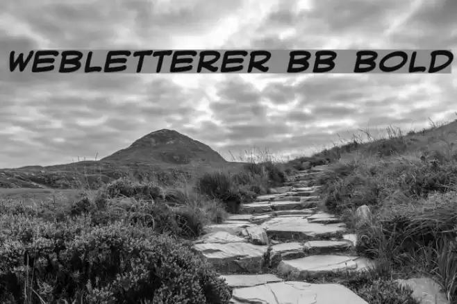 WebLetterer BB Bold Font examples