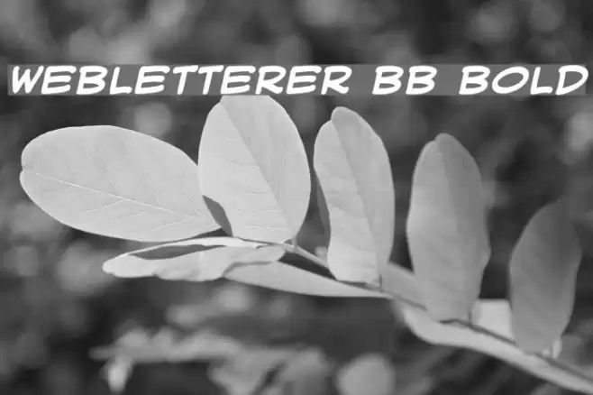 WebLetterer BB Bold Font examples