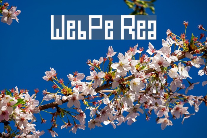 WebPixel Regular Font examples