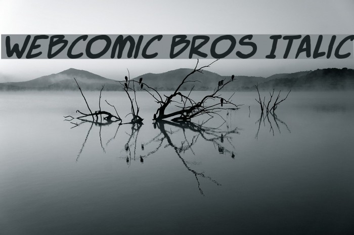 Webcomic Bros Italic Font examples