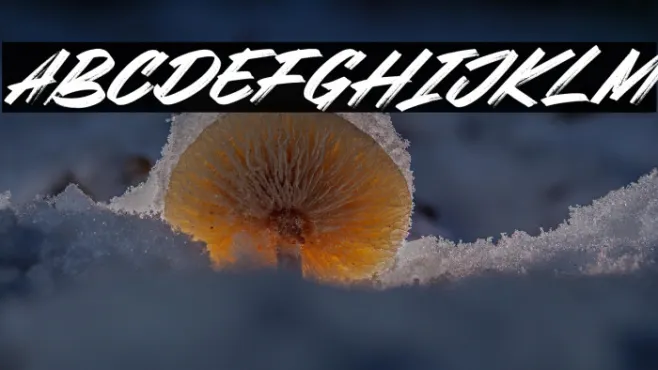 Webrush Example 3