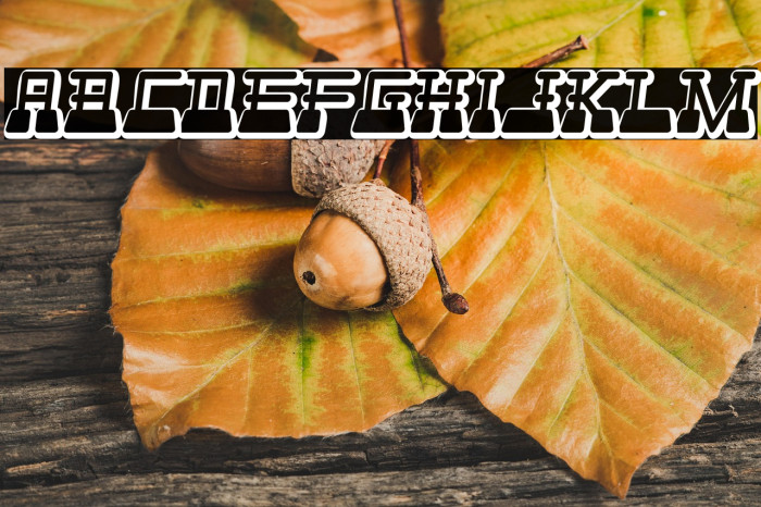 WebsterWorld-Regular Example 3