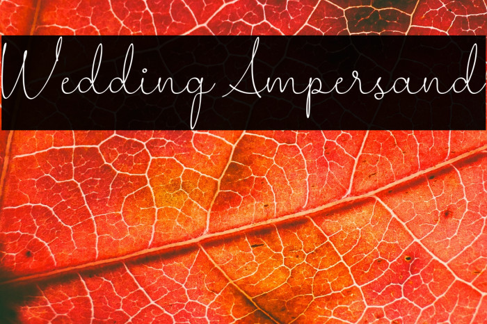 Wedding Ampersand Example 1