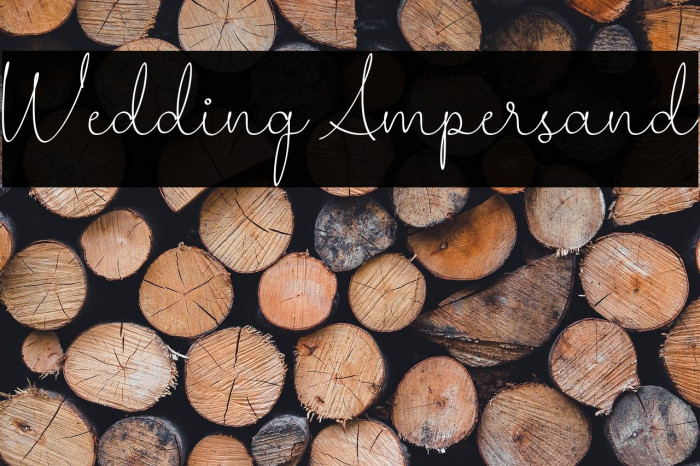 Wedding Ampersand Example 2