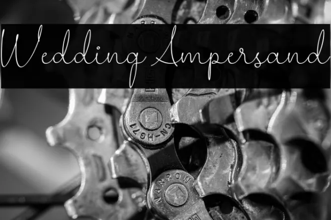 Wedding Ampersand Example 3