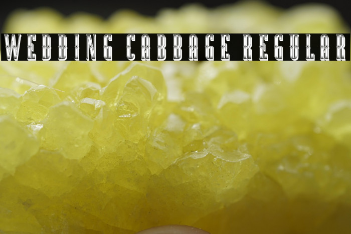 Wedding Cabbage Regular Example 2