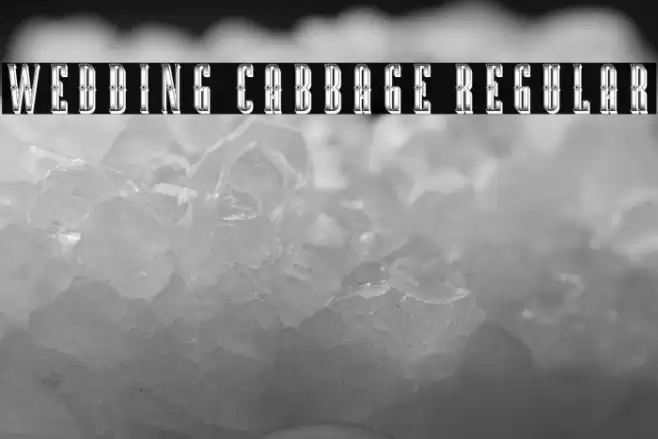 Wedding Cabbage Regular Font examples