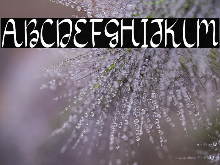 Wedding Card Example 1