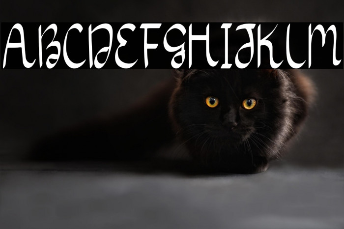 Wedding Card Example 3