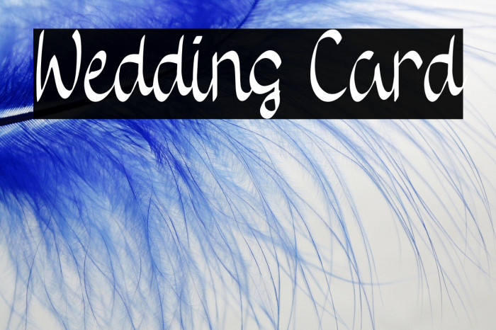 Wedding Card Example 2