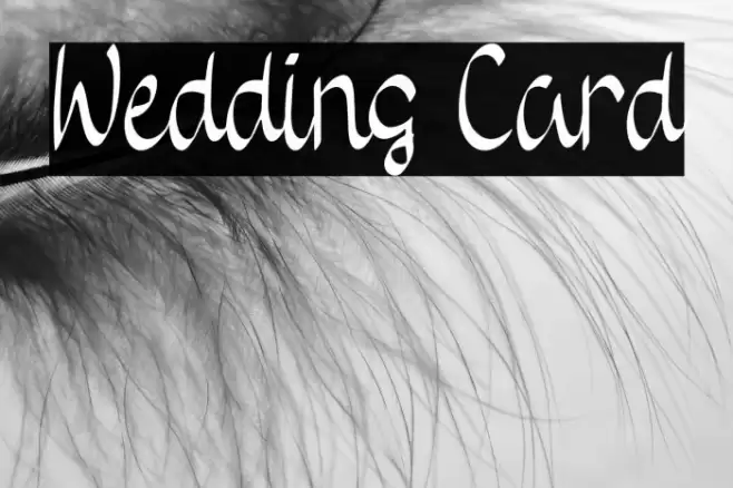 Wedding Card Font examples