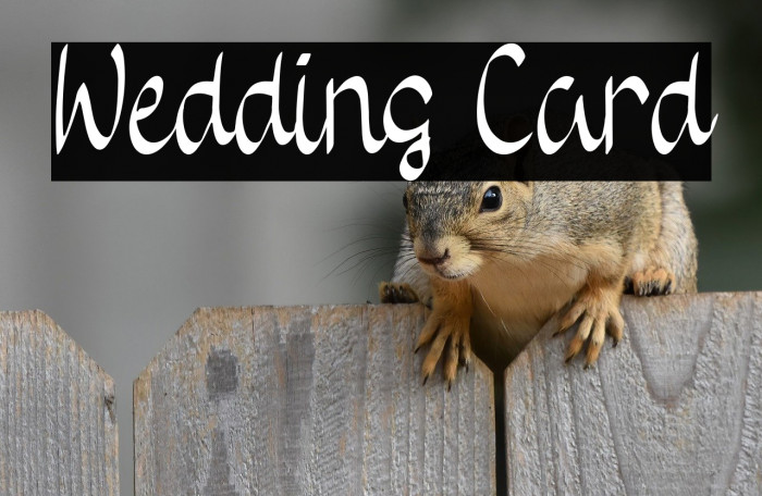 Wedding Card Example 3