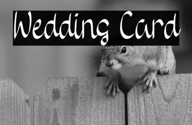 Wedding Card Font examples