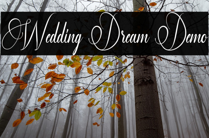 Wedding Dream Demo Example 1